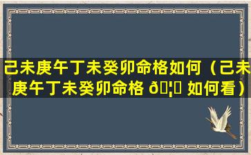 己未庚午丁未癸卯命格如何（己未庚午丁未癸卯命格 🦉 如何看）